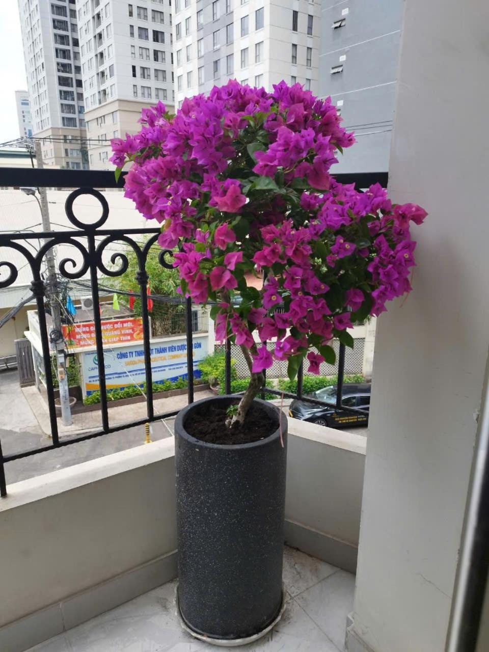 7 Apartment Ho Chi Minh City Exterior photo